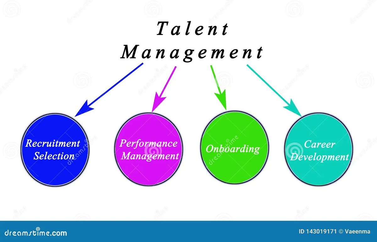 Talent Management & Development Drives Future Business Growth and Agility
